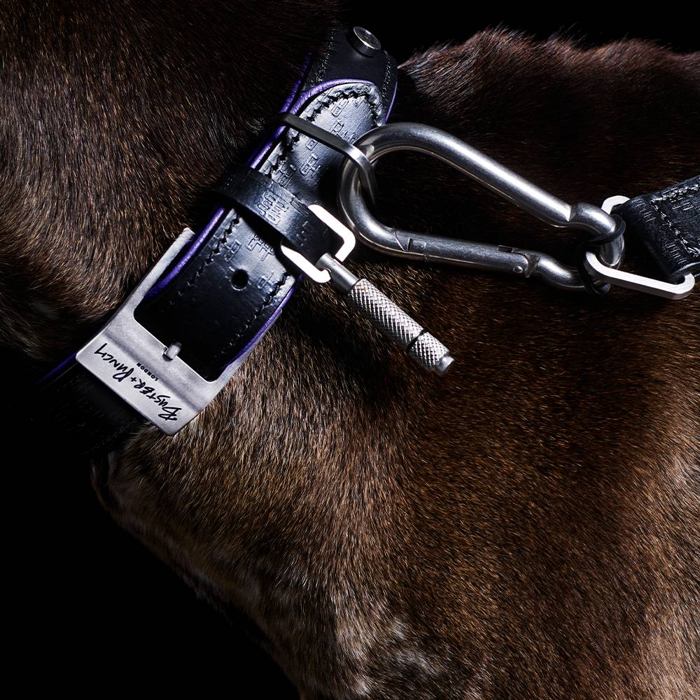 DOG LEAD / CROSS / BLACK / PURPLE - Image 3