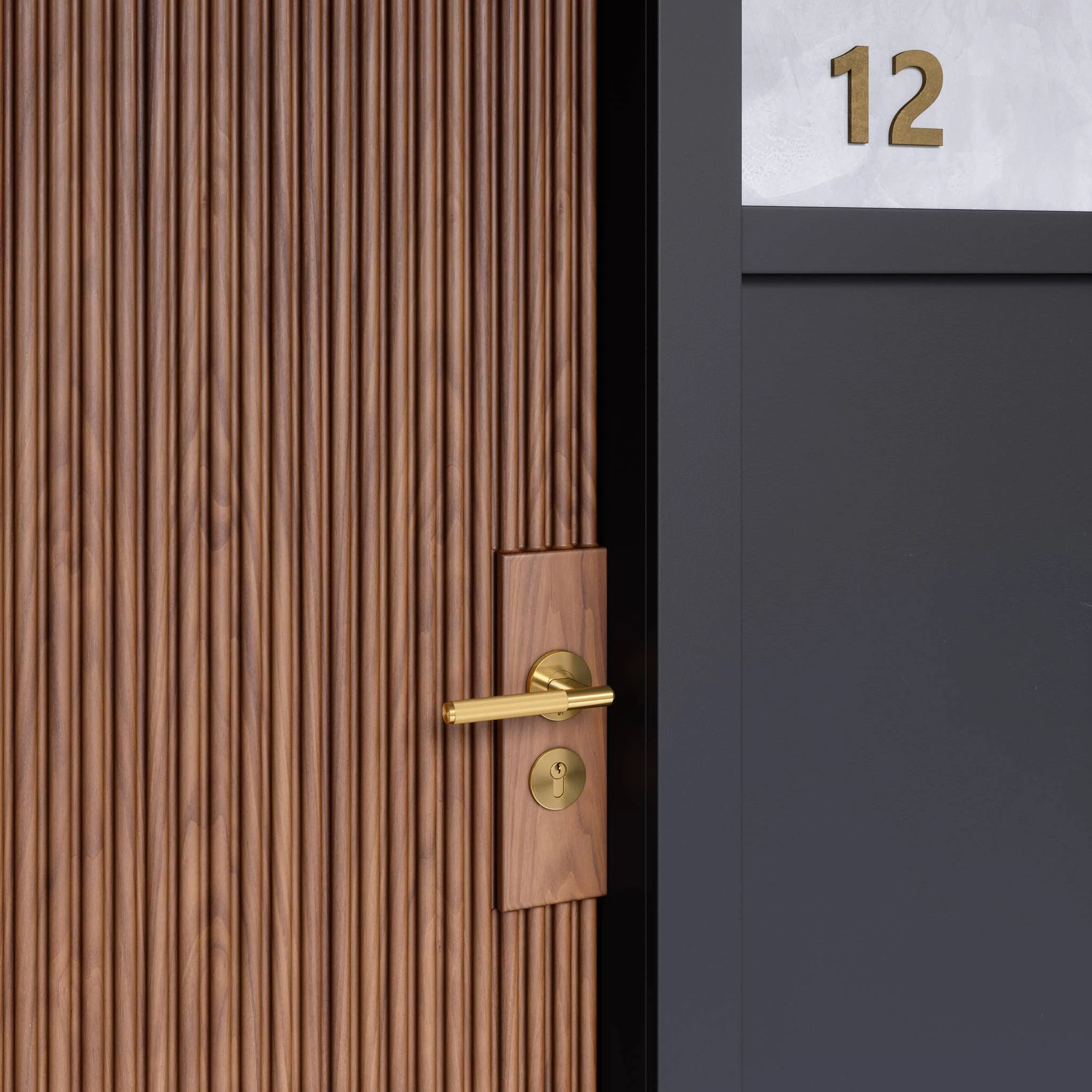 ANZ DOOR HANDLE SET / SPRUNG / LINEAR / PRIVACY - Image 5