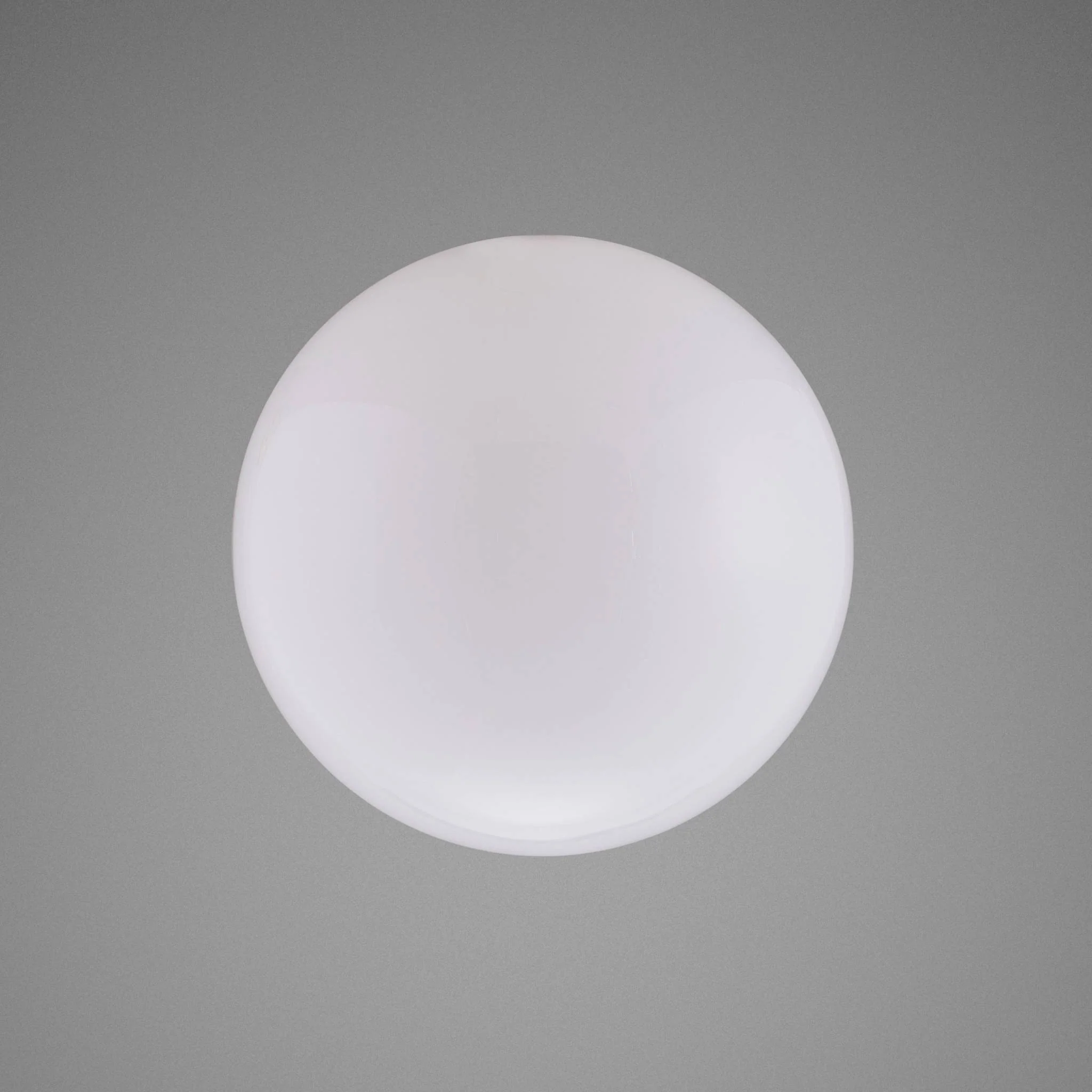FORKED GLOBE / LARGE - Image 3