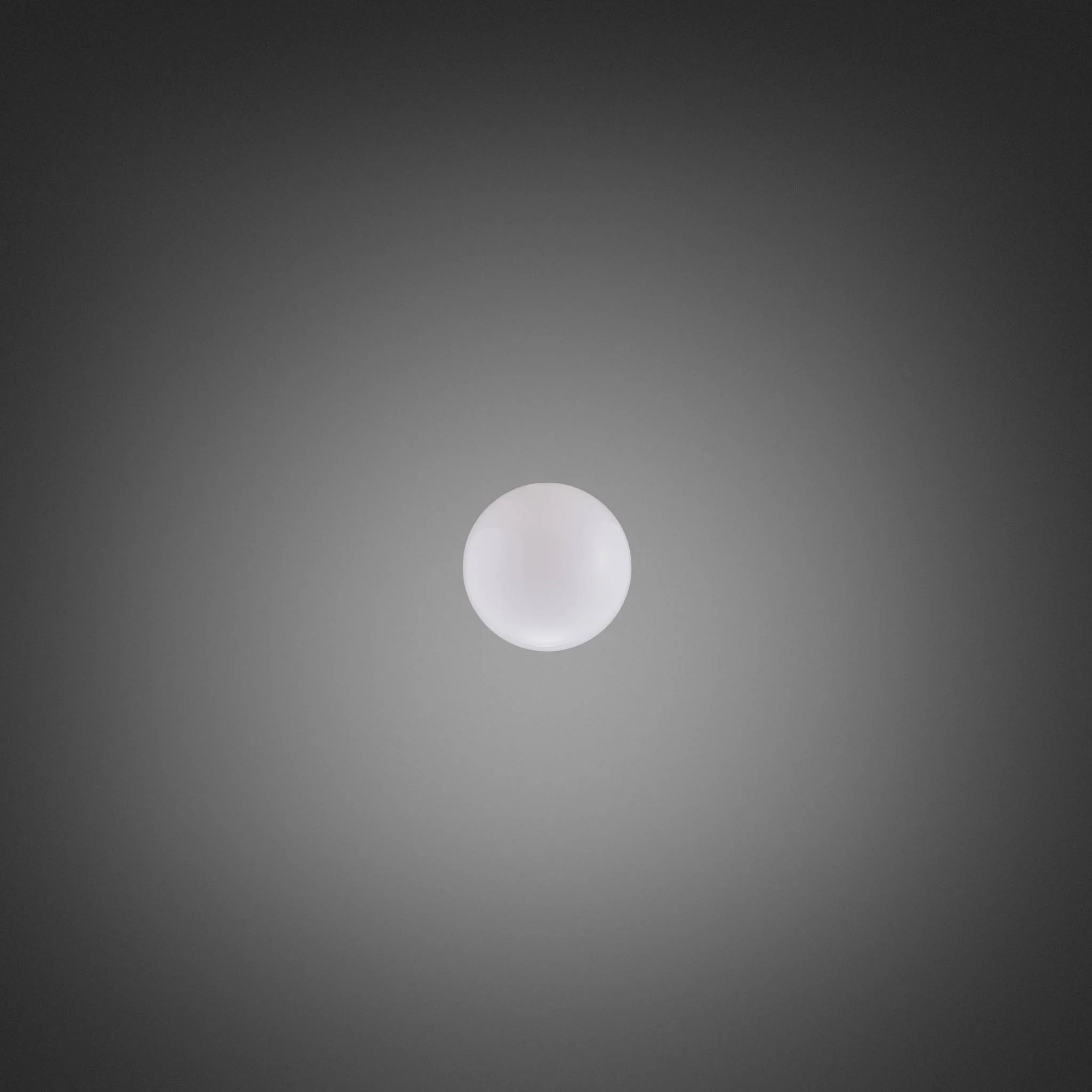 FORKED GLOBE / MEDIUM - Image 4